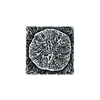 Image 1 of Cross Section