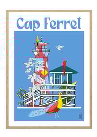 Image 2 of Cap Ferret