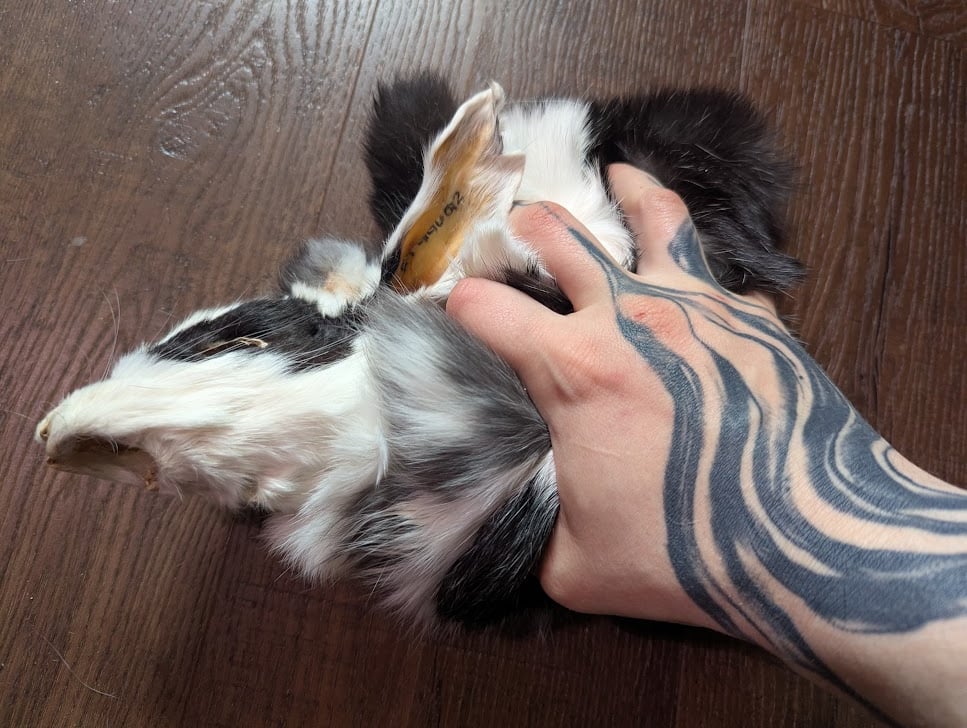 Image of Black Silvered Clouded Vienna Wallhanger