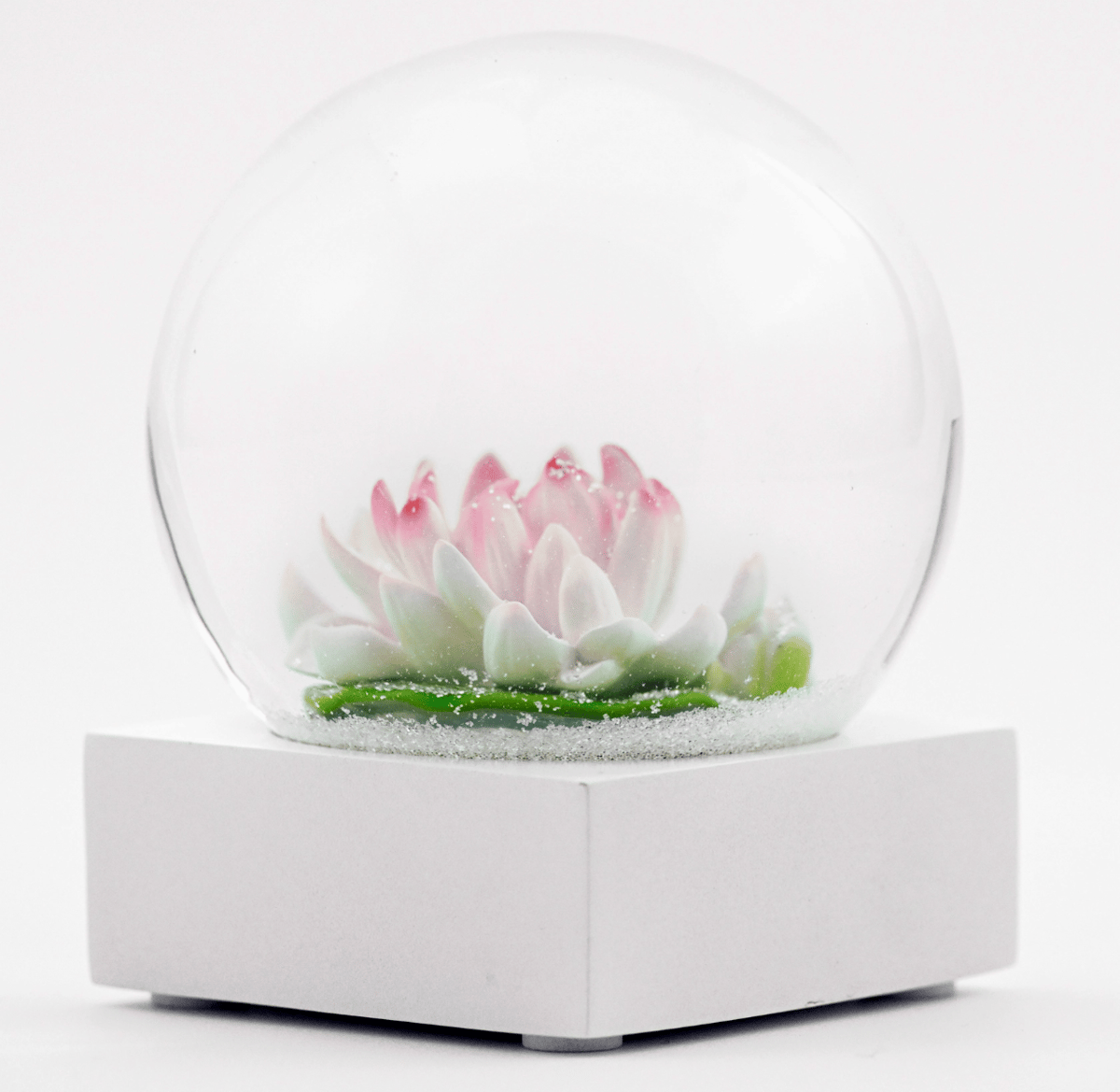 Snow Globes! (16 Kinds!) - Image 16 of 17