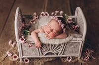 Image 5 of Tender Magnolia Set 