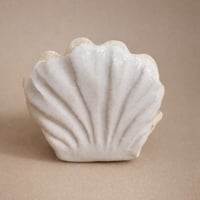 Image 1 of Pearl Keeper Shell No.1