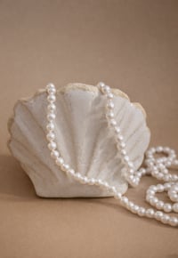 Image 3 of Pearl Keeper Shell No.1