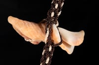 Image 17 of Neckpiece: REASON, FOLLY, AND BEAUTY.