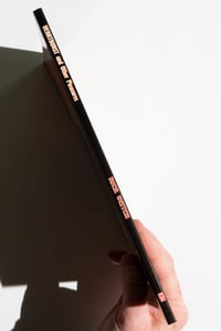 Image 8 of Heartburst by Rick Veitch