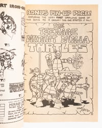 Image 5 of Raphael Micro-Series 1 by Kevin Eastman and Peter Laird