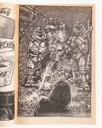 Image 5 of Teenage Mutant Ninja Turtles 2