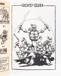 Image 10 of Teenage Mutant Ninja Turtles 2