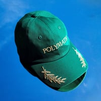 Image 1 of RPT-023: THE POLYMATH HAT (GREEN)
