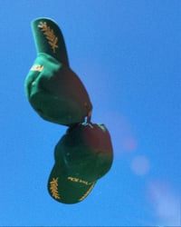 Image 5 of RPT-023: THE POLYMATH HAT (GREEN)