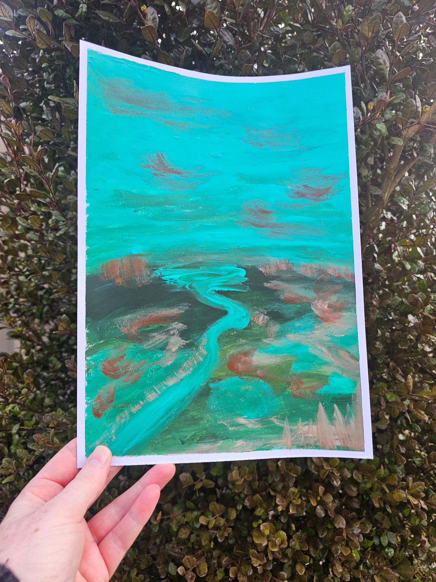 Image of The flow of the wild.