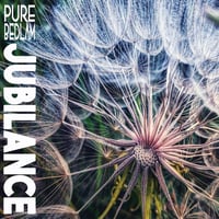 Image 1 of PURE BEDLAM "JUBILANCE" #ISR VINYL EDITION