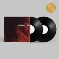 Image 2 of American Football (LP4) Test Pressing + Early Bird 2xLP [PRE-ORDER]