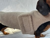 Image 2 of Taupe Teddy Strap Coat