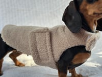 Image 1 of Taupe Teddy Strap Coat