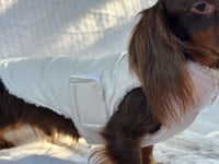 Image 4 of White Vinyl Raincoat Chest Cover Coat 