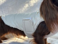 Image 5 of White Vinyl Raincoat Chest Cover Coat 