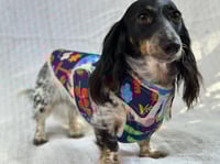 Image 1 of Gardener Raincoat Chest Cover Coat