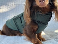 Image 1 of Green Raincoat Chest Cover Coat