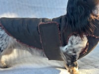 Image 2 of Oilskin Chest Cover Coat