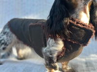 Image 3 of Oilskin Chest Cover Coat