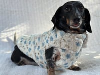 Image 1 of Teddy Floral Chest Cover Coat