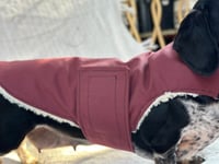 Image 1 of Maroon Raincoat Strap Coat