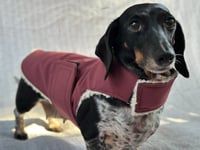 Image 2 of Maroon Raincoat Strap Coat