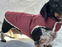 Image 3 of Maroon Raincoat Strap Coat