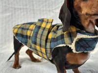Image 1 of Yellow Blue Check Strap Coat