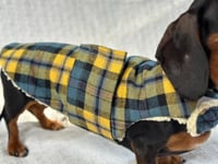 Image 2 of Yellow Blue Check Strap Coat