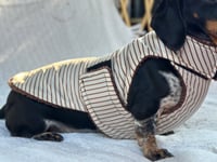 Image 2 of Chocolate Stripe Raincoat Chest Cover Coat