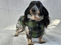 Image 2 of Green Grey Checkers Chest Cover Coat