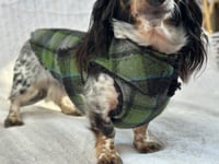 Image 3 of Green Grey Checkers Chest Cover Coat