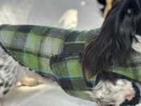 Image 5 of Green Grey Checkers Chest Cover Coat