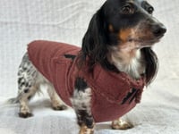 Image 4 of Chocolate Cashmere Chest Cover Coat