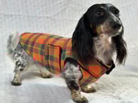 Image 1 of Pumpkin Plaid Chest Cover Coat