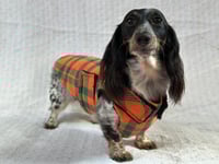 Image 2 of Pumpkin Plaid Chest Cover Coat