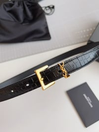 Image 2 of Yves Belt
