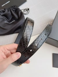 Image 7 of Yves Belt