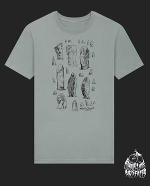 Stone Botherer T shirt in Light Grey