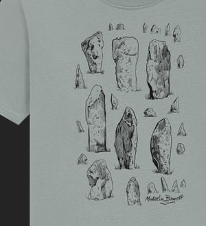 Stone Botherer T shirt in Light Grey