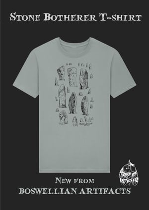 Stone Botherer T shirt in Light Grey