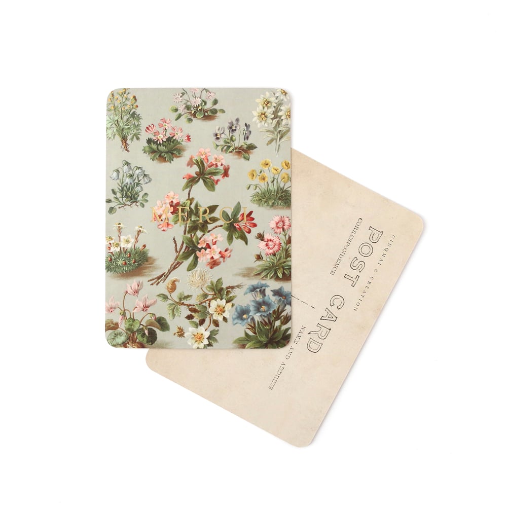 Image of Carte Postale MERCI / DORÉ / ALBERTINE