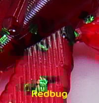 Image 15 of 4" Flat Grub (8 Pack)