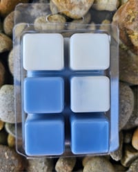 Image 4 of Salt & Timber - A Rocky Top Wax Works exclusive custom houseblend fragrance 