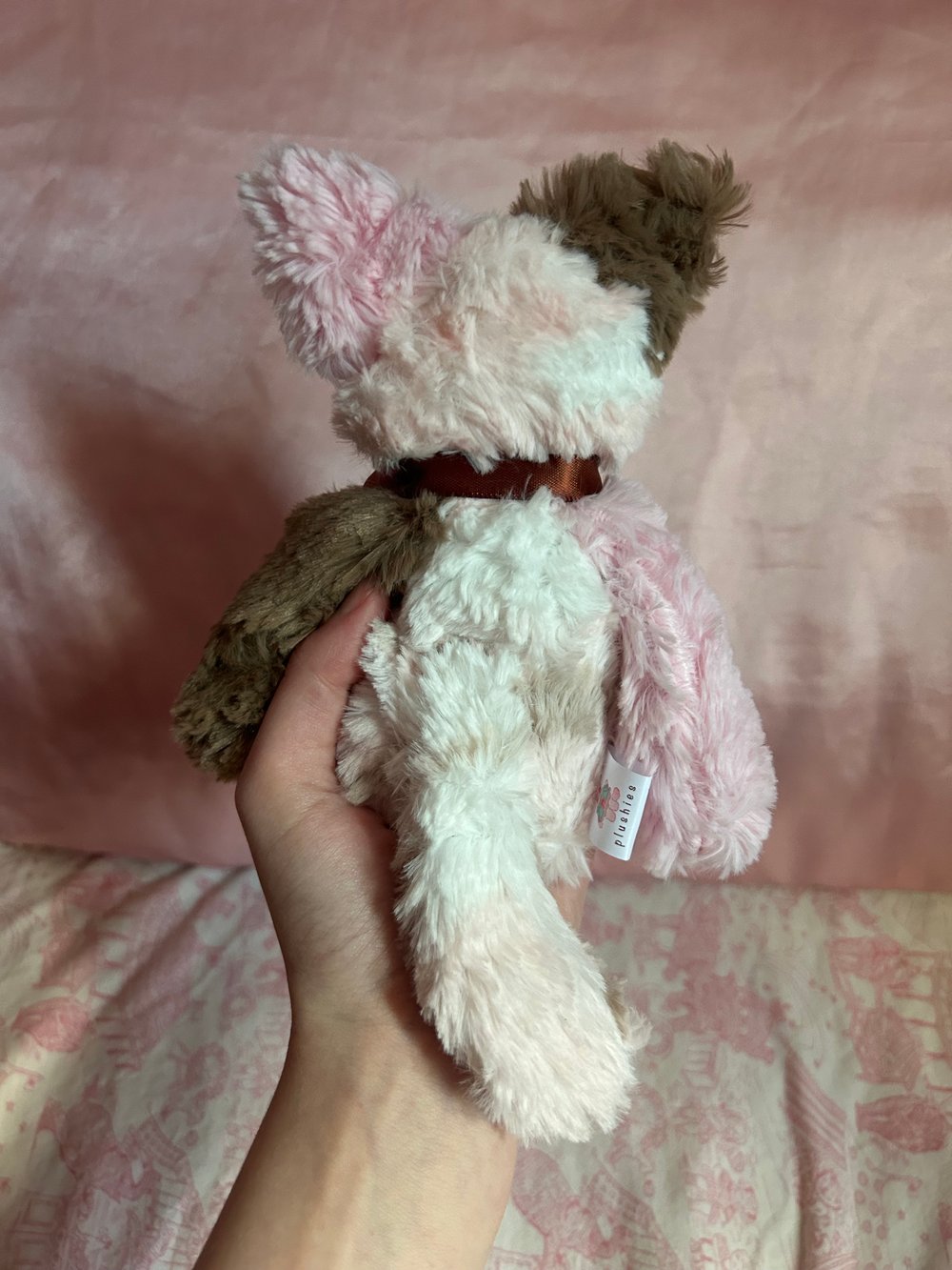 Image of nala the kitty 