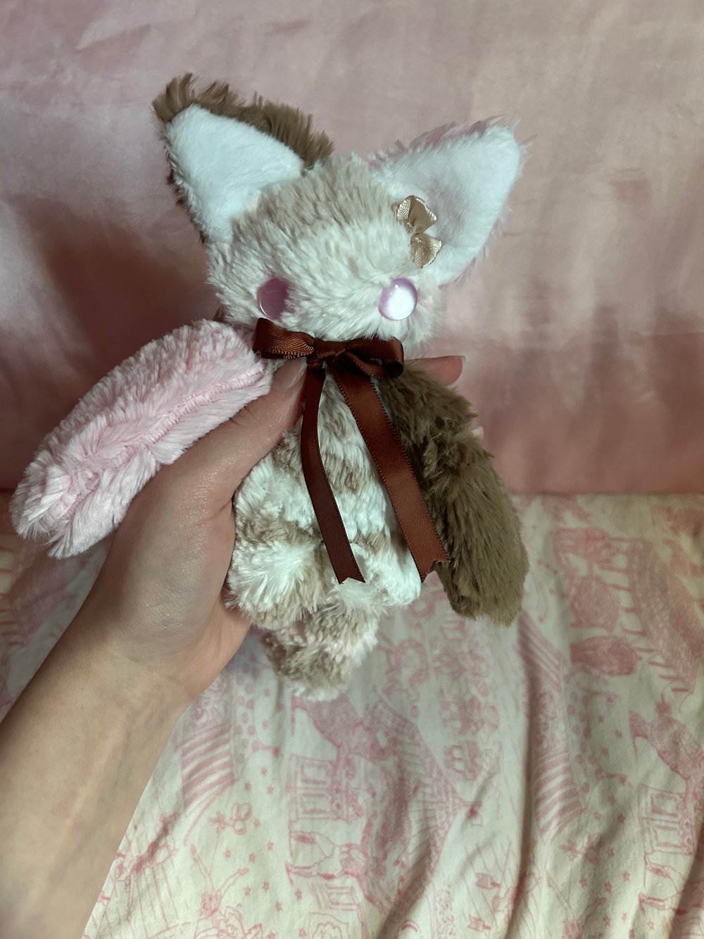 Image of nala the kitty 