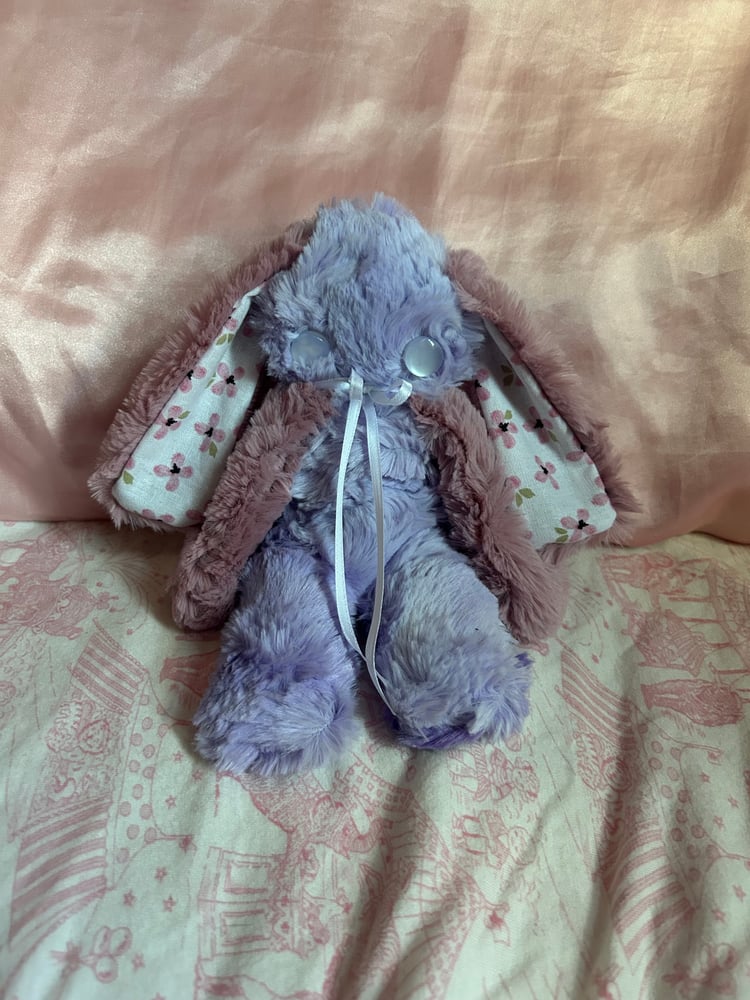 Image of Violet the bunny 