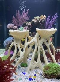 Image 3 of Decorative wooden elements for aquariums “Mangrove root planter”